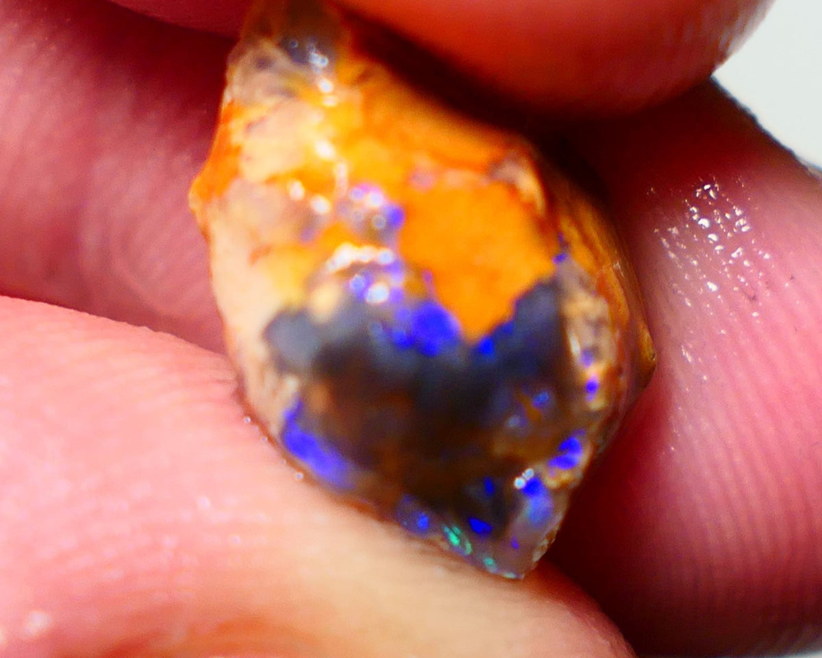 Lightning Ridge Rough Opal 6cts Blue on Black Crystal Knobby Gamble 15x12x7mm NS038