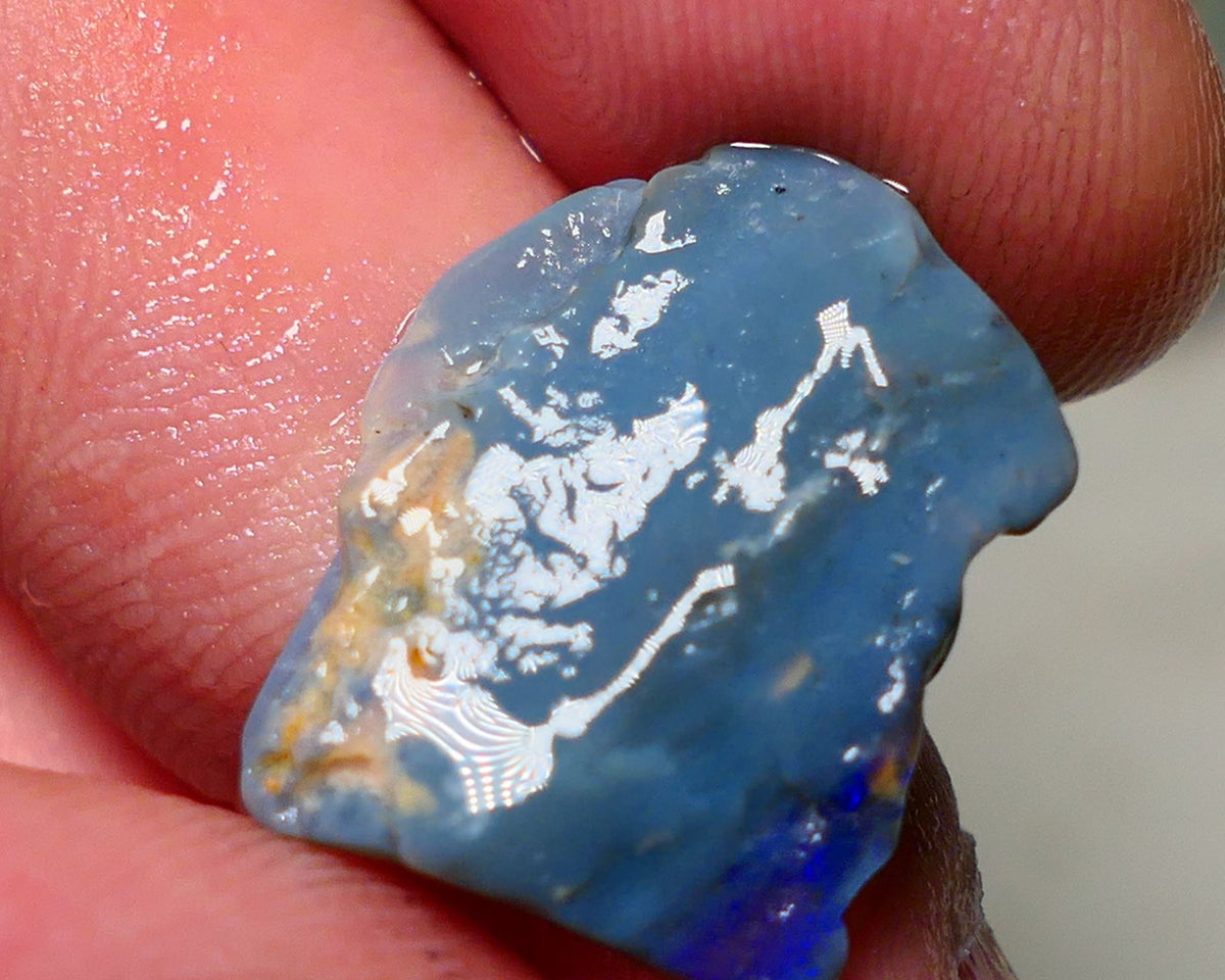 Lightning Ridge Rough Opal 7.50cts Blue on Dark Gamble Seam Nice Blues 19x16x3mm NS031