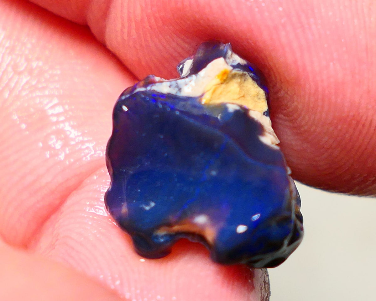 Lightning Ridge Rough Opal 8cts Blue on Black Gamble Seam Nice Blues 16x11x11mm NS029