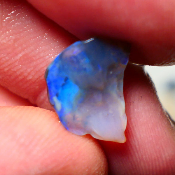 Mulga Rough Opal Gamble 3.50cts Dark Base Seam Blue Dominant fires to Cut / carve & polish 14x10x4mm NS132