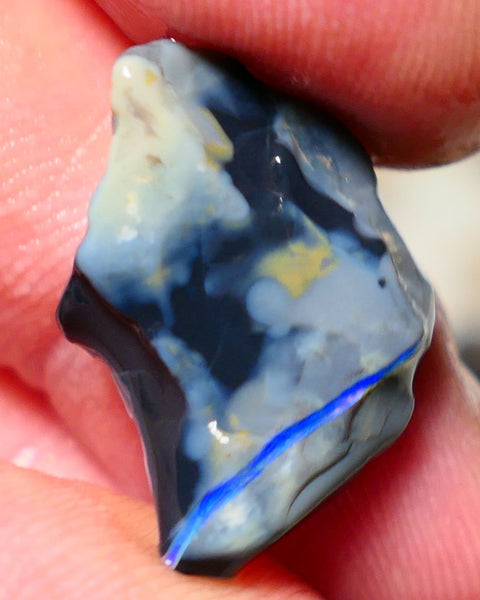 Mulga Rough Opal Gamble 9cts Dark Base Seam Blue fires in vertical bar to Cut / carve & polish 21x15x6mm Auction NS130