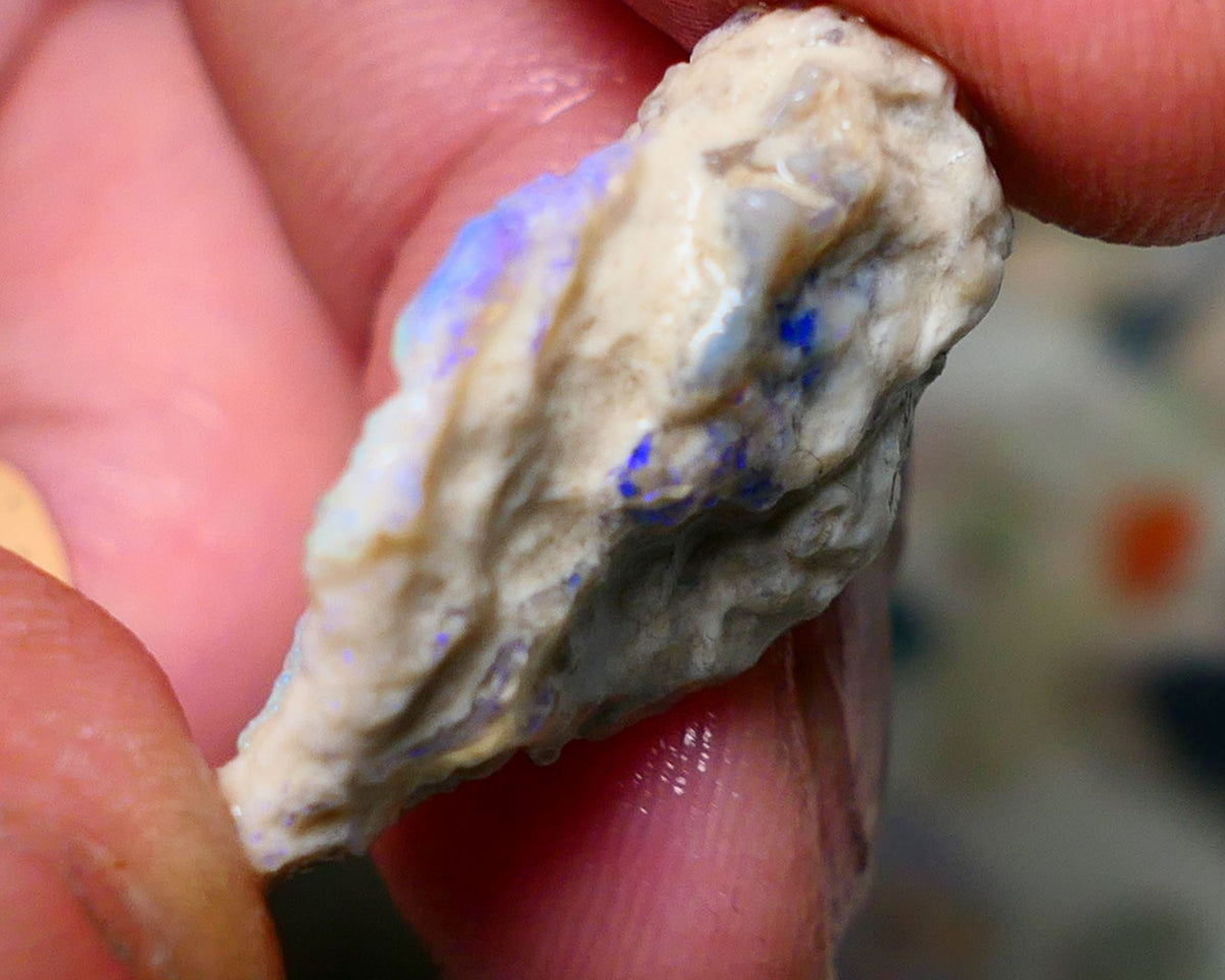 Lightning Ridge Rough Opal 17cts Crystal Base Gamble Knobby formation Light blue/Blue fires 27x19x9mm Auction NS075