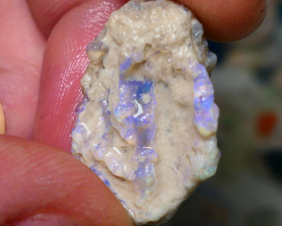 Lightning Ridge Rough Opal 17cts Crystal Base Gamble Knobby formation Light blue/Blue fires 27x19x9mm Auction NS075