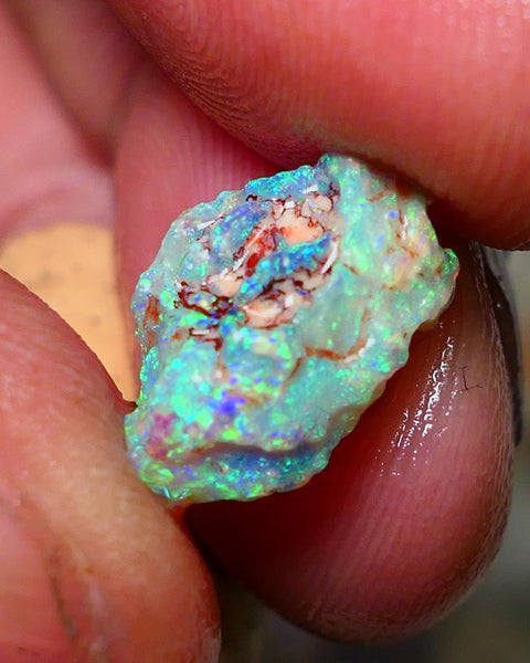 Lightning Ridge Rough Opal 3.75cts Untouched Crystal Knobby rough with Gorgeous Exotic Multicolours 14x9x7mm Auction NS074