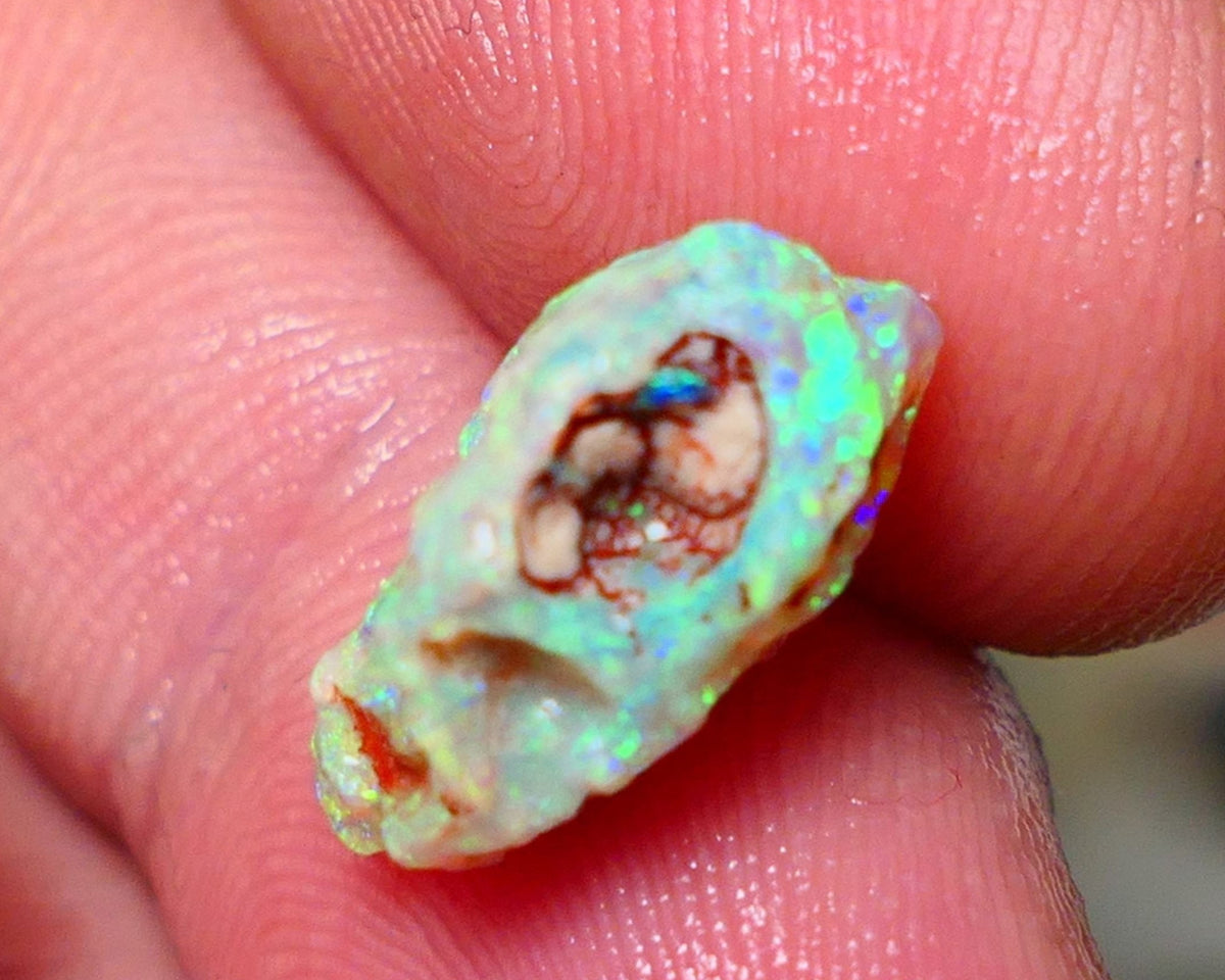 Lightning Ridge Rough Opal 3.75cts Untouched Crystal Knobby rough with Gorgeous Exotic Multicolours 14x9x7mm Auction NS074