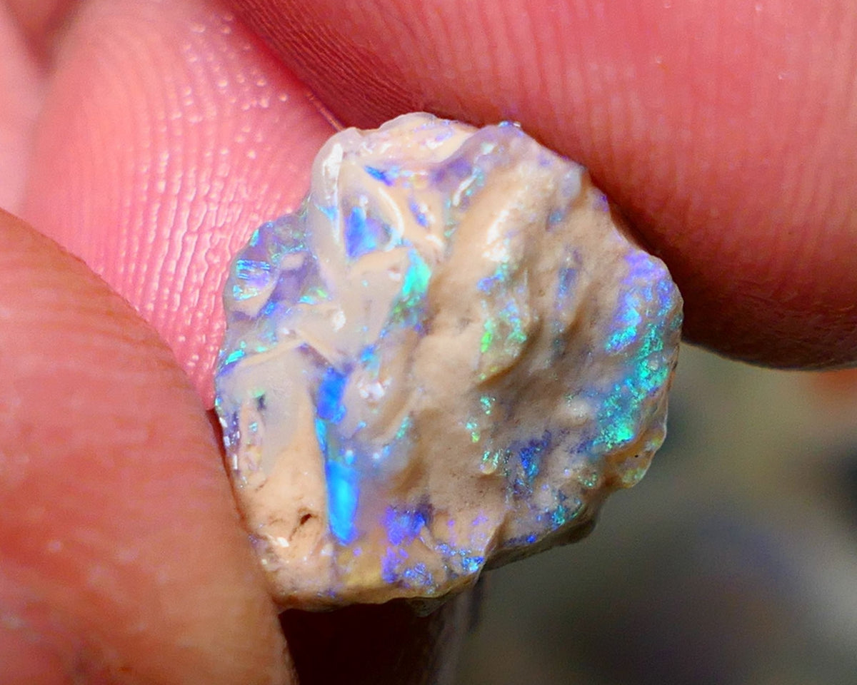 Opal Fever Mate Auction