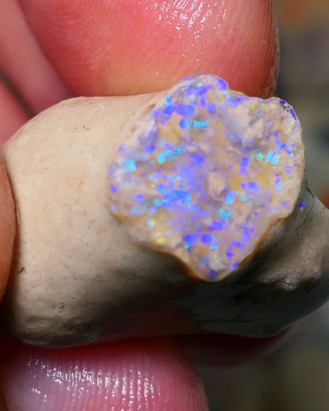 Lightning Ridge Rough Opal 35cts Bright blues/Green confetti pattern Crystal base Seam sat on host rock 25x20x17mm NS071