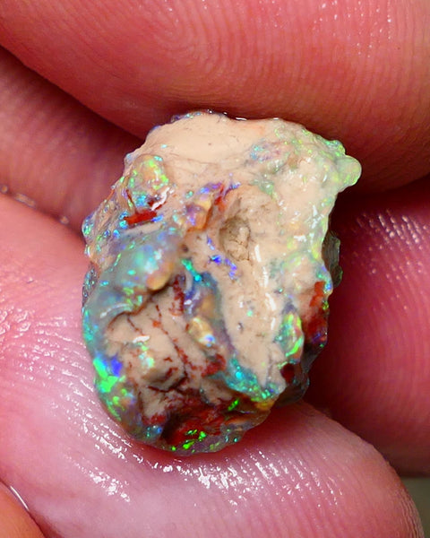 Lightning Ridge Rough Opal 10cts Untouched Knobby rough with Gemmy Gorgeous Multicolours to explore 18x14x11mm Auction NS070