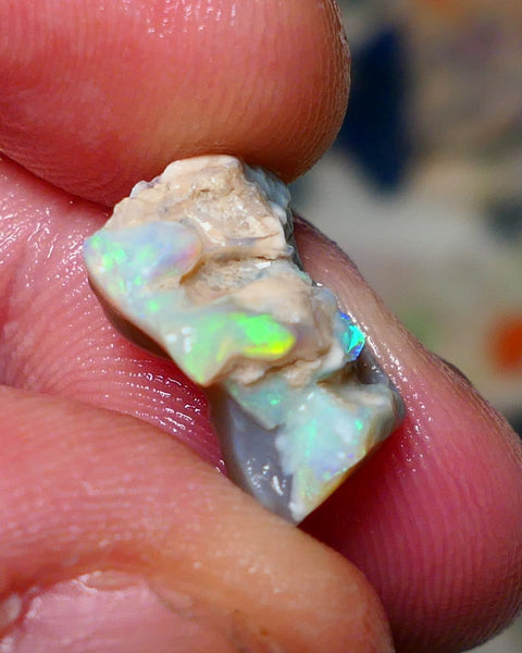 Lightning Ridge Rough Opal 6.25cts Knobby rough with Gorgeous Multicolours to explore 16x11x8mm Auction NS066