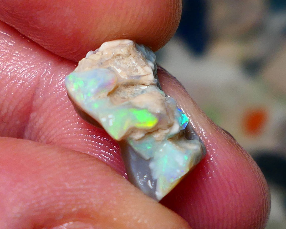 Lightning Ridge Rough Opal 6.25cts Knobby rough with Gorgeous Multicolours to explore 16x11x8mm NS066