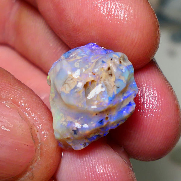 Lightning Ridge Rough Opal 12cts Dark Base Crystal Gamble Knobby formation blue dominant fires with flashes of yellows 19x10x10mm Auction NS063