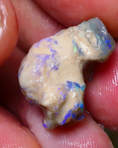 Lightning Ridge Rough Opal 19.75cts Dark Base Crystal Gamble Knobby formation Gorgeous blue/green fires 24x15x12mm Auction NS061