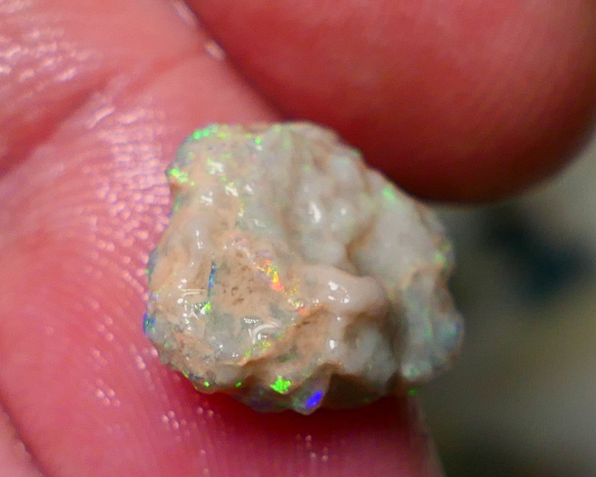 Lightning Ridge Rough Opal 3.80cts Untouched Knobby rough with Gorgeous Multicolours to explore 14x12x5mm Auction NS057