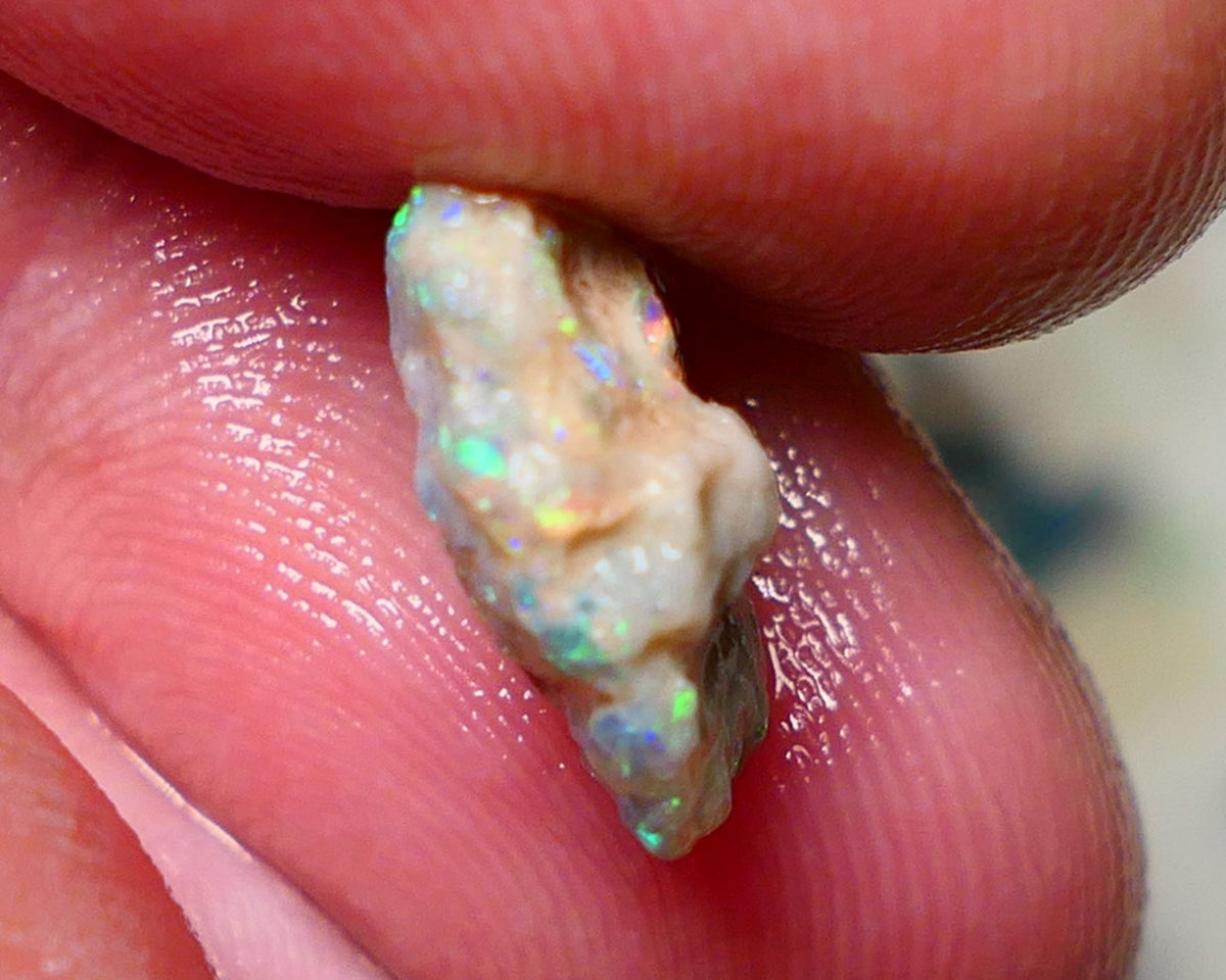 Lightning Ridge Rough Opal 3.80cts Untouched Knobby rough with Gorgeous Multicolours to explore 14x12x5mm Auction NS057