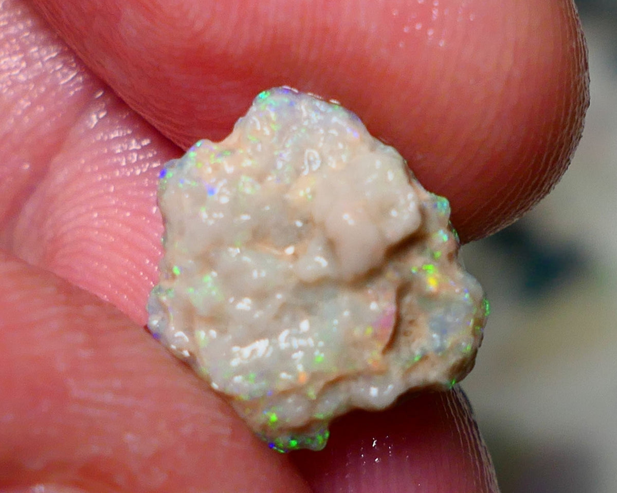 Lightning Ridge Rough Opal 3.80cts Untouched Knobby rough with Gorgeous Multicolours to explore 14x12x5mm Auction NS057