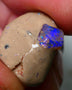 Lightning Ridge Rough Opal 10cts Bright Gemmy blues in Crystal base Seam sat on host rock 19x15x7mm NS084