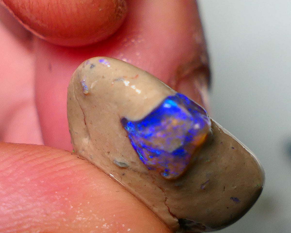 Lightning Ridge Rough Opal 10cts Bright Gemmy blues in Crystal base Seam sat on host rock 19x15x7mm NS084