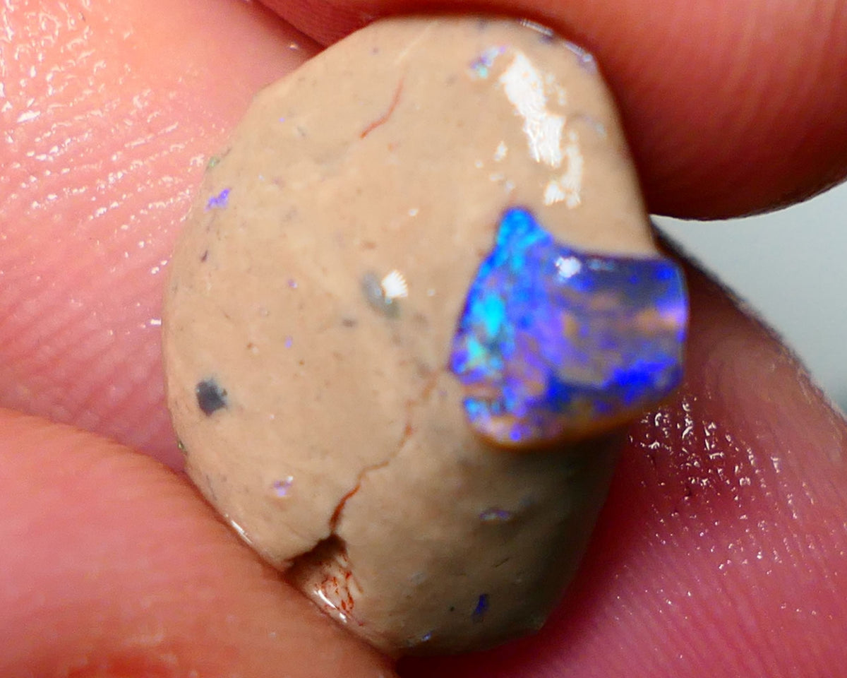 Lightning Ridge Rough Opal 10cts Bright Gemmy blues in Crystal base Seam sat on host rock 19x15x7mm NS084