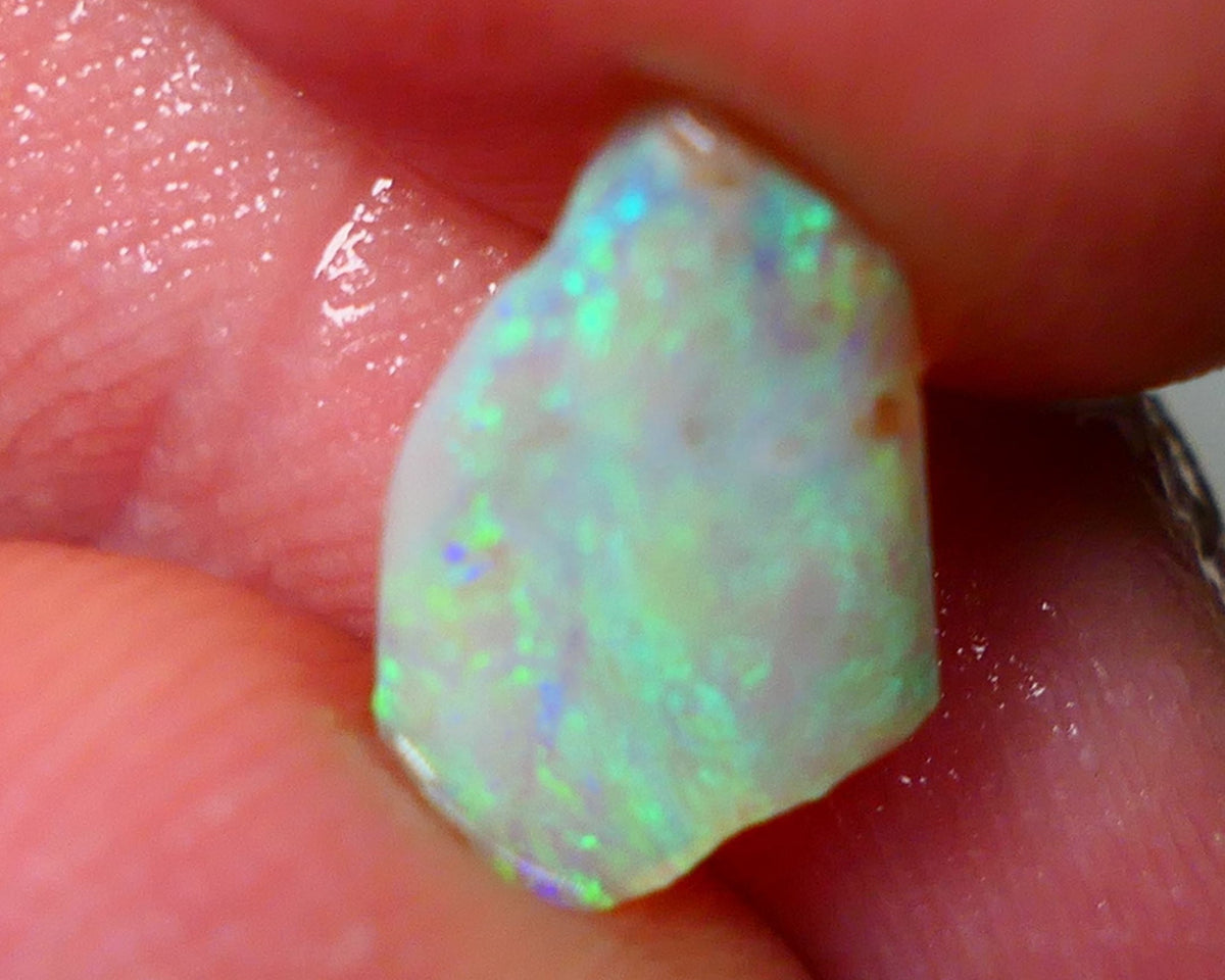 Lightning Ridge Opal Dark Crystal Base Seam Rough Rub 1.60cts Nice Green Blue dominant fires 11x9x2mm NS124