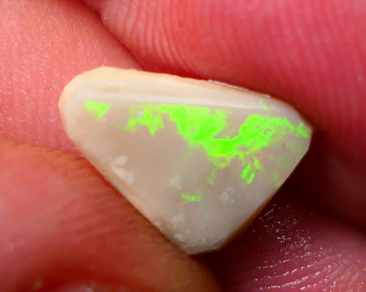 Lightning Ridge Rough / Rub Dark Seam opal 2.75cts Nice Yellow Fires  13x10x3mm NS121