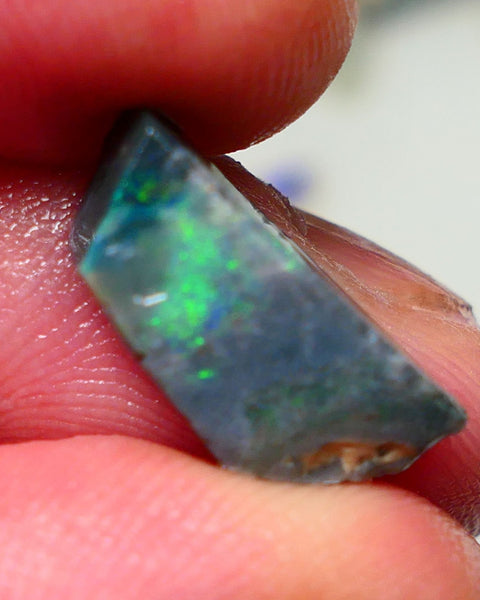 Lightning Ridge Rough / rub Opal 6cts Black Base Seam Green dominant colours 17x8x6mm Auction NS113