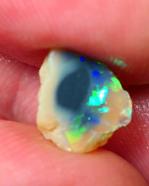 Lightning Ridge Rough / Rub knobby opal Miners Bench® 1.85cts Exotic Bright Yellow/Green/Blue/Teal Fires 10x9x3mm AUCTION NS091