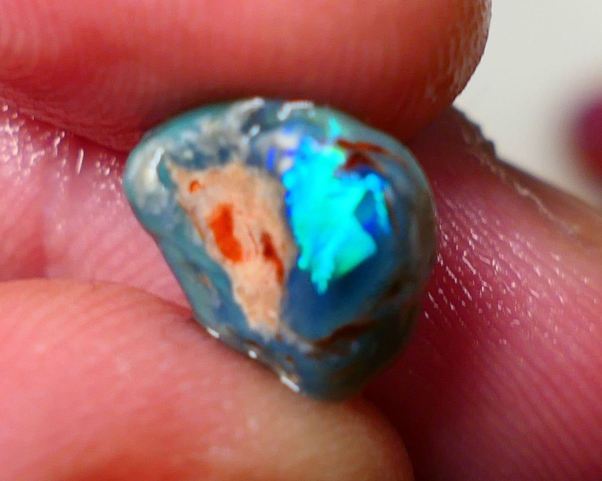 Lightning Ridge Rough / Rub opal Miners Bench® 3.40cts Very Bright Blue/Teal Fires 11x10x5mm AUCTION NS089