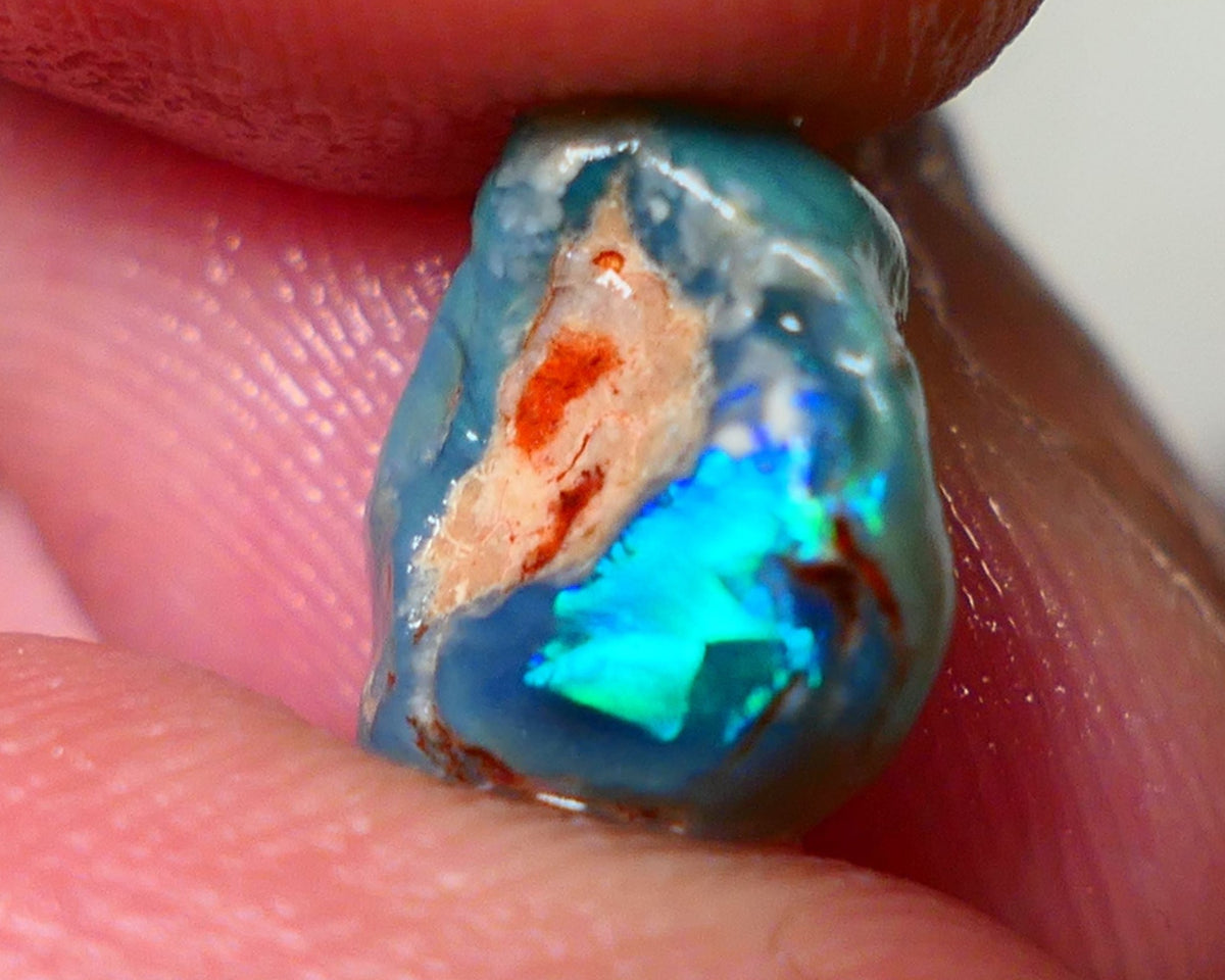 Lightning Ridge Rough / Rub opal Miners Bench® 3.40cts Very Bright Blue/Teal Fires 11x10x5mm AUCTION NS089