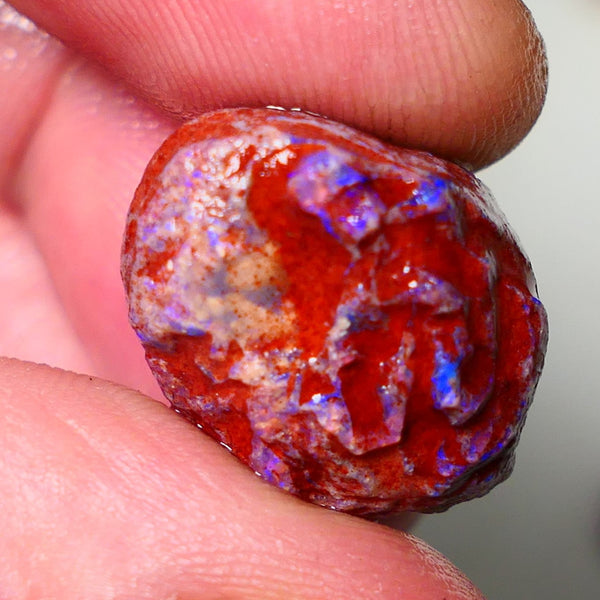 Lightning Ridge Rough Opal 18cts Dark Base Gamble Knobby formation Nice blue fires 20x15x12mm NS110