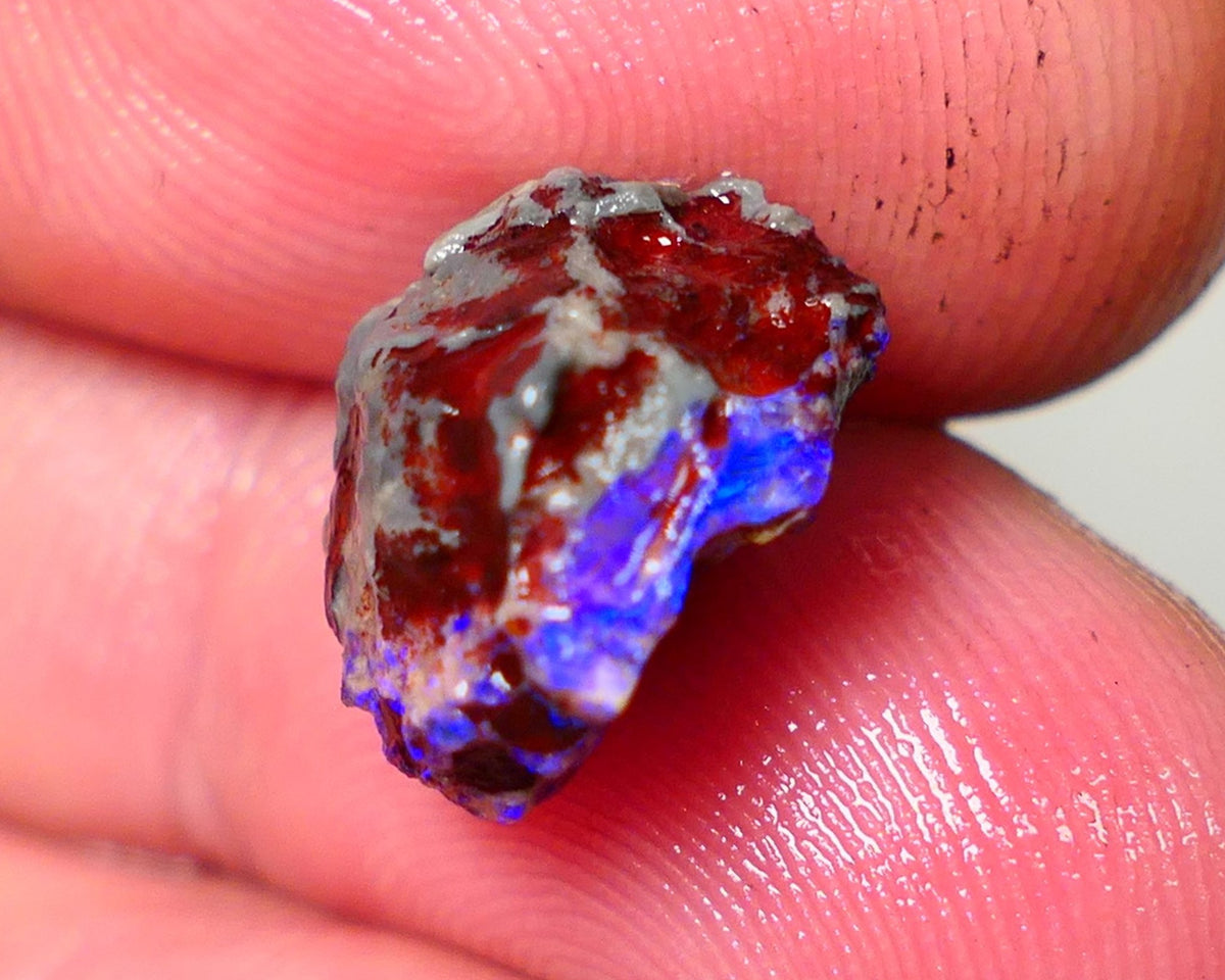 Lightning Ridge Rough Opal 5cts Dark Base Gamble Knobby formation Gorgeous blue fires 13x10x9mm Auction NS109