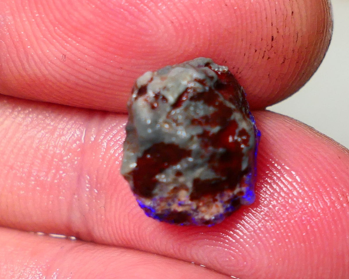 Lightning Ridge Rough Opal 5cts Dark Base Gamble Knobby formation Gorgeous blue fires 13x10x9mm Auction NS109