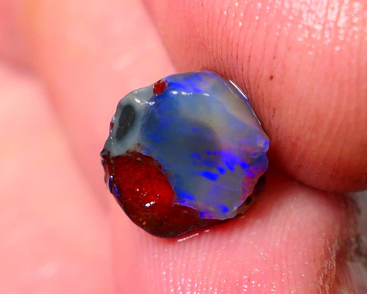 Lightning Ridge Rough / Rub opal Miners Bench® Dar Crystal 2.75cts Bright Blue Fires 9x9x6mm AUCTION NS105