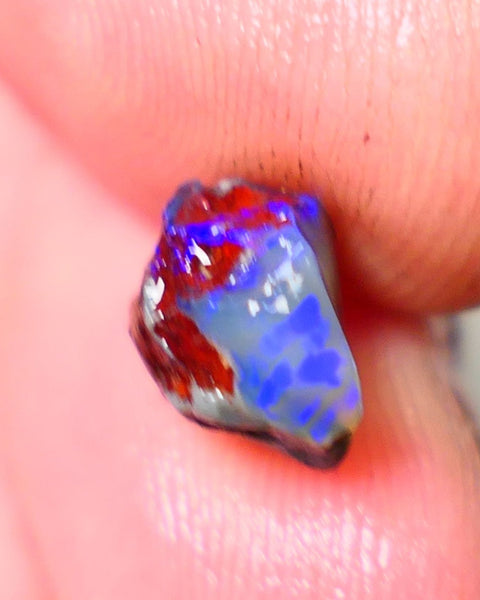 Lightning Ridge Rough / Rub opal Miners Bench® Dar Crystal 2.75cts Bright Blue Fires 9x9x6mm AUCTION NS105