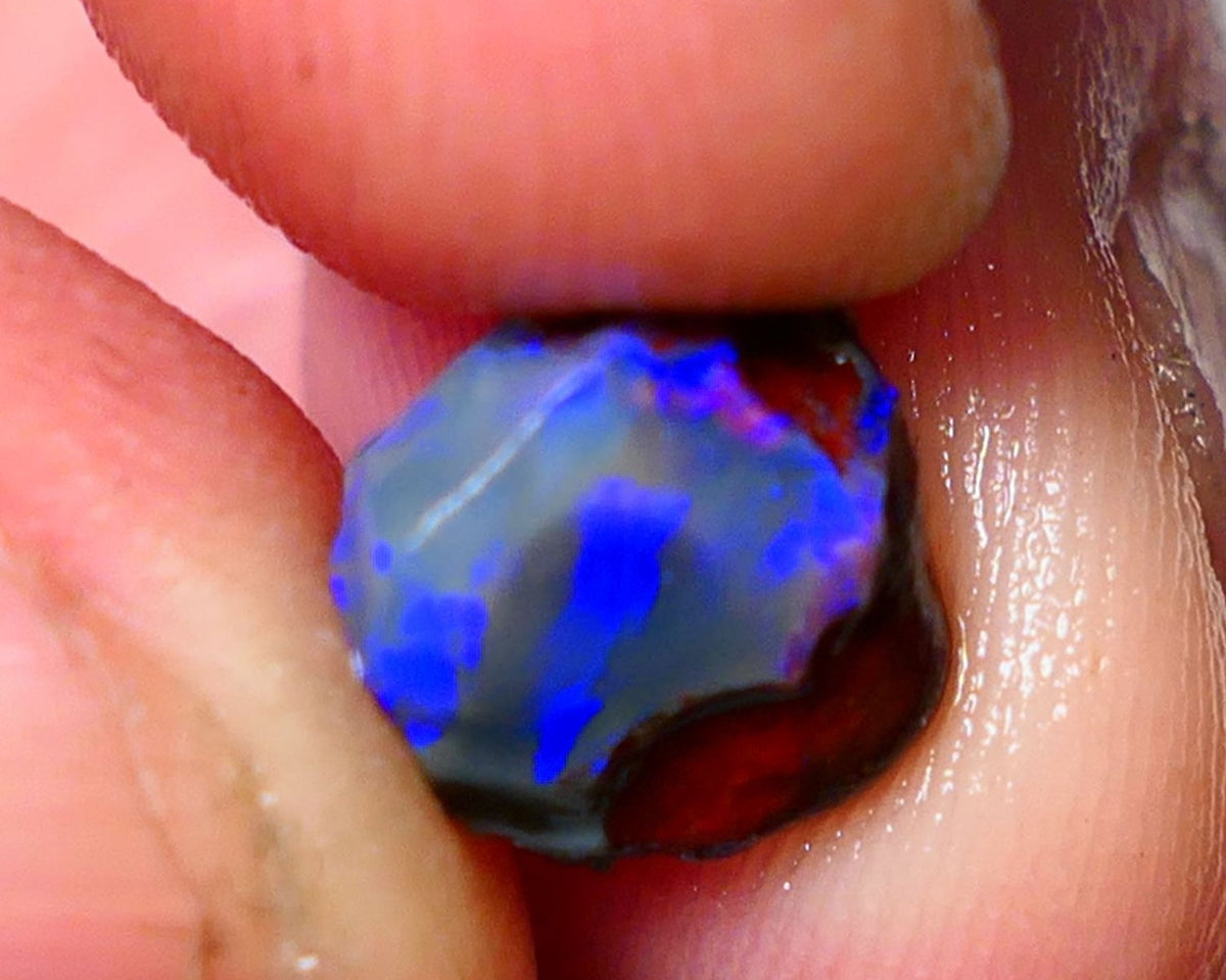 Lightning Ridge Rough / Rub opal Miners Bench® Dar Crystal 2.75cts Bright Blue Fires 9x9x6mm AUCTION NS105