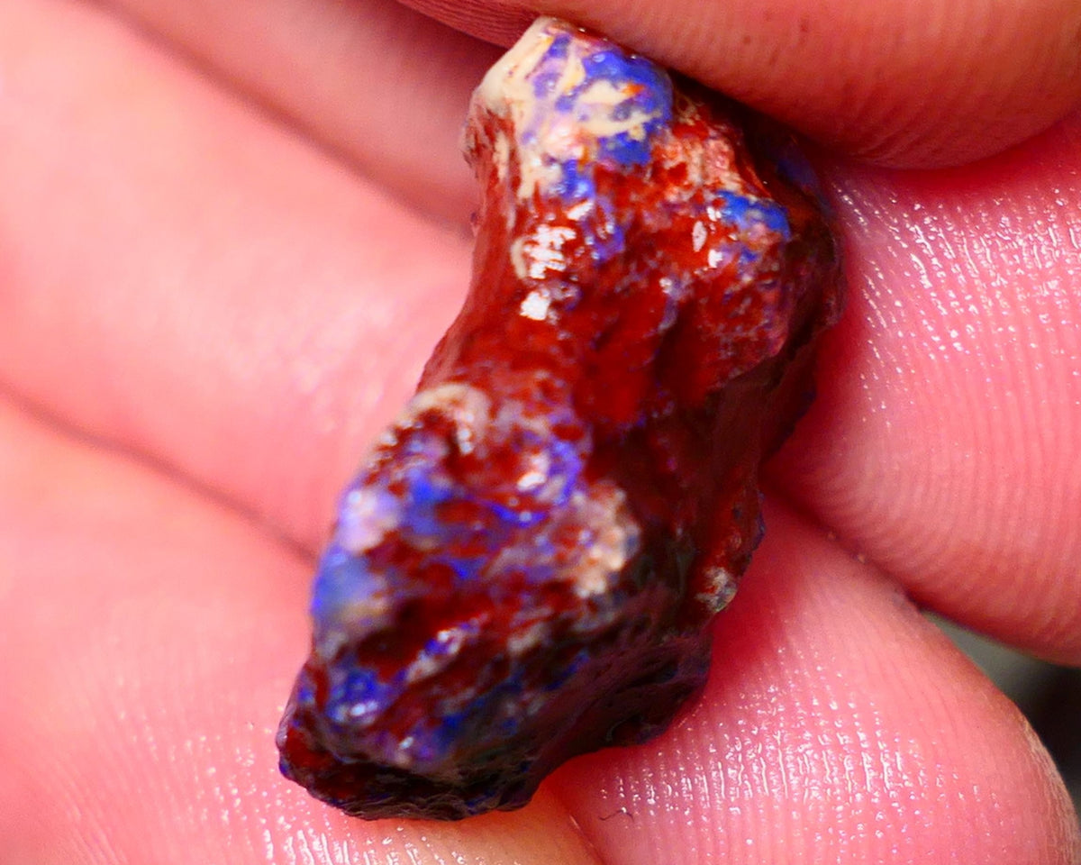 Lightning Ridge Rough Opal 13.50cts Dark Base Gamble Knobby formation Nice blue fires 22x14x8mm Auction NS102