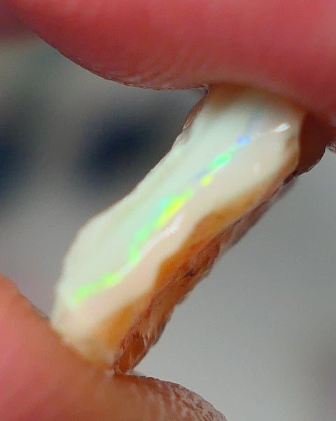 Lightning Ridge Rough Opal 3.50cts Grey/Dark Base Seam Gorgeous bar to cut with Bright Yellow/Green Dominant  Multi colour fires 11x11x3.5mm NS138