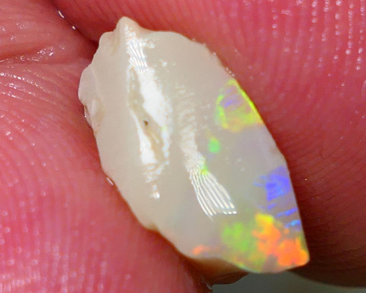 Lightning Ridge Rough / Rub Seam opal Miners Bench® 3.60cts Exotic Bright Yellow/Orange/Red M.Fires 14x7x6mm NS136