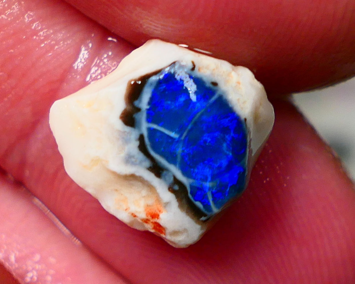 Lightning Ridge Rough / Rub opal Miners Bench® Black Crystal knobby 4.25cts Deep Bright Royal Blue Fires 12x11x5mm NS145