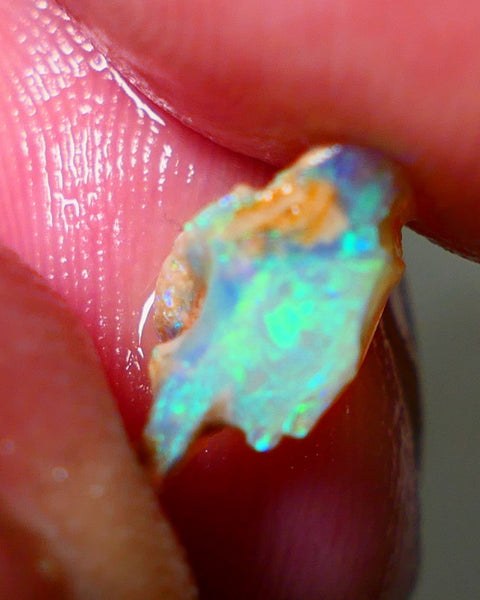 Lightning Ridge Rough Opal 2.15cts Crystal Seam rough with Gorgeous Gemmy Multicolours to explore 12x7x6mm NS172