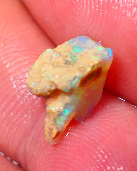 Lightning Ridge Rough Opal 2.15cts Crystal Seam rough with Gorgeous Gemmy Multicolours to explore 12x7x6mm NS172