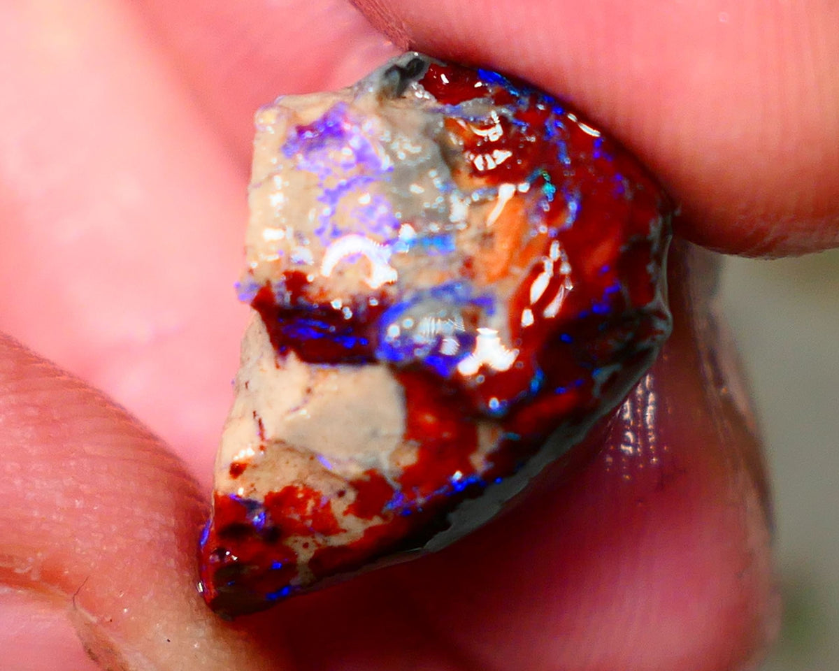 Lightning Ridge Rough Opal 17cts Dark Base Gamble Knobby formation Nice blue fires 22x15x14mm Auction NS152