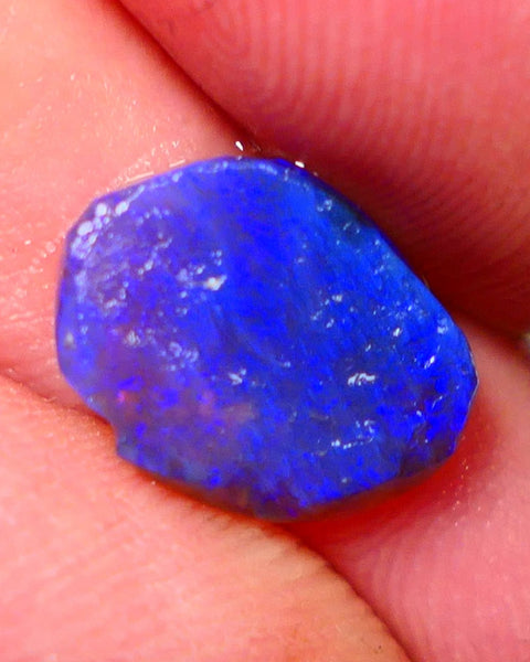 "Moody Blues" Black Crystal Opal Miners Bench® Knobby Rough Rub 2.30cts Amazing Bright Vibrant Blues 13x10x2.5mm NSW028