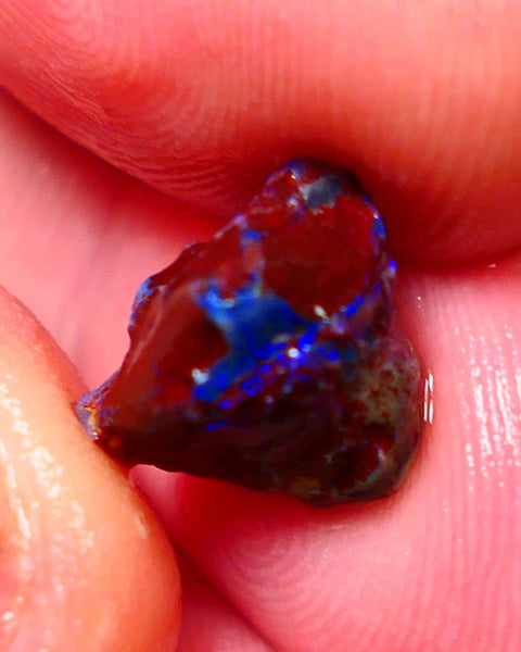 Lightning Ridge Rough Opal 4.50cts Dark Base Gamble Knobby formation Nice blue fires 12x10x9mm NS171