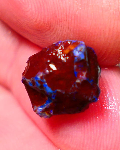 Lightning Ridge Rough Opal 4.50cts Dark Base Gamble Knobby formation Nice blue fires 12x10x9mm NS171