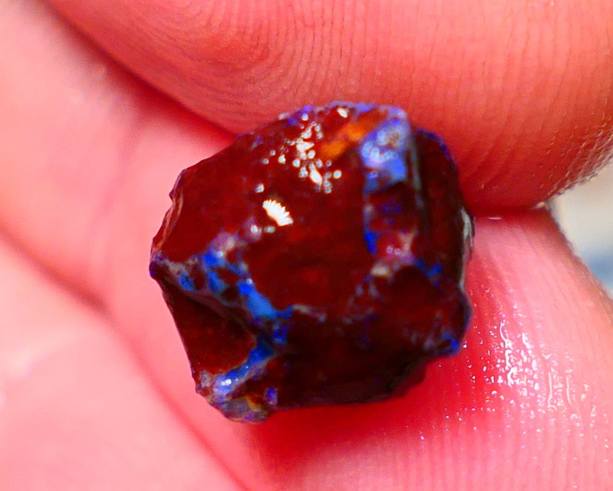 Lightning Ridge Rough Opal 4.50cts Dark Base Gamble Knobby formation Nice blue fires 12x10x9mm NS171