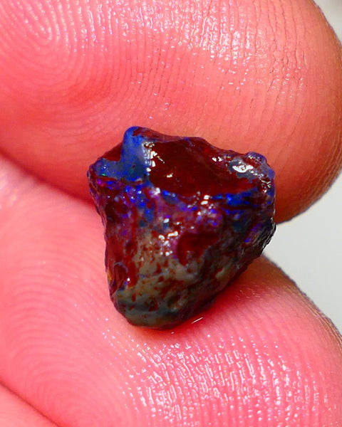 Lightning Ridge Rough Opal 4.50cts Dark Base Gamble Knobby formation Nice blue fires 12x10x9mm NS171