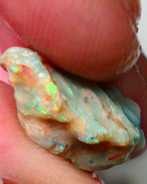 Lightning Ridge Rough Fossil opal 7.00cts Yellow orange dominant Fires 20x11x9mm NS147