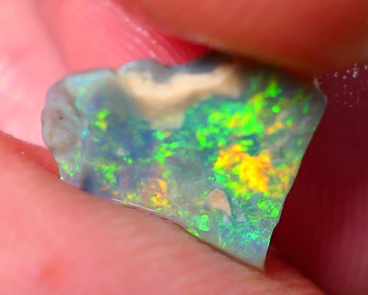 Lightning Ridge Opal Rough/Rub Dark Base From the Miners Bench® 1.55cts Bright & gorgeous Yellow/Orange/Green dominant m.fires 11x11x2mm NS154