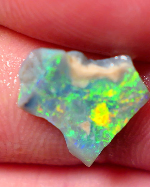 Lightning Ridge Opal Rough/Rub Dark Base From the Miners Bench® 1.55cts Bright & gorgeous Yellow/Orange/Green dominant m.fires 11x11x2mm NS154