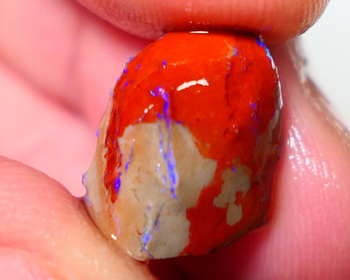 Lightning Ridge Rough Opal 7.00cts Gamble Knobby formation Gorgeous blue fires 12x11x10mm NS174